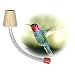 Hummingbird Feeder Tubes For Making Your Own Feeders (Pkg of 12)