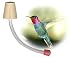 Hummingbird Feeder Tubes For Making Your Own Feeders (Pkg of 12)