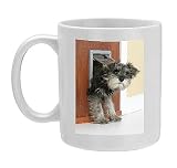 Photo Mug of DOG. Schnauzer puppy coming through cat flap from Ardea
