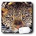 Wild animals - Leopard - Mouse Pads