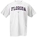 Nike Florida Gators White College Classic T-shirt