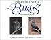 Search : Rocky Mountain Birds: Easy Identification