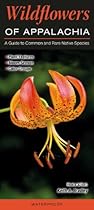 Wildflowers of Appalachia