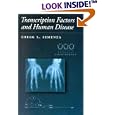 Transcription Factors and Human Disease (Oxford Monographs on Medical Genetics) by Gregg L. Semenza