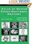Atlas of Human Cross-Sectional Anatomy: With CT and MR Images