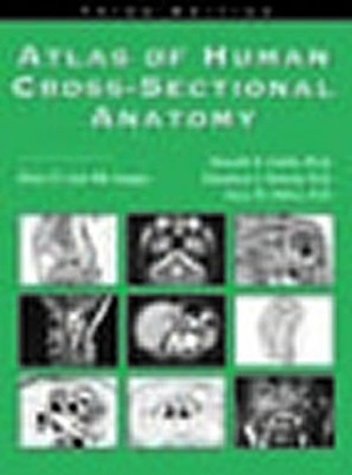 Diagnostic-Imaging