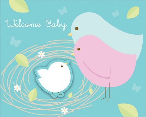 Nesting Birds 'Welcome Baby' Baby Shower Invitations- 8 Pack