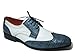 Ferro Aldo Mens Dress Wingtip Shoes Leather Lined Lace up Oxfords