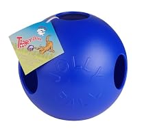 Jolly Pet 10" Teaser Ball Blue