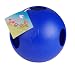 Jolly Pet 10" Teaser Ball Blue