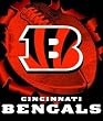 Cincinnati Bengals 50"x60" Burst Style Royal Plush Raschel Throw Blanket - Football Sports Merchandise