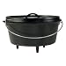 Cast Iron Chef