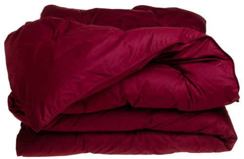 cyber monday price Pacific Coast Feather Co 61137