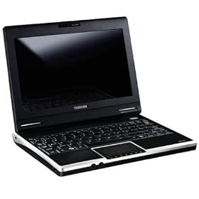 Toshiba NB100 - 11R
