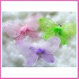 6 Pastel Fairy Wings