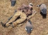 Avery LayOut Mat Duck Blind by Avery Outdoors