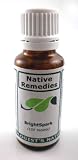 Brightspark For Children Add And Adhd Native Remedies