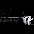 Go: Organic Orchestra 1 by Adam Rudolph