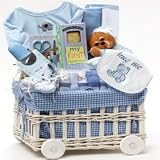 Sweet Baby Special Delivery Gift Basket - BOY BLUE