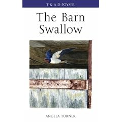 The Barn Swallow (Poyser Monographs) (Poyser Monographs)