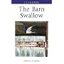 The Barn Swallow (Poyser Monographs)