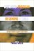 Becoming American, Becoming Ethnic: College Students Explore Their Roots (Critical Perspectives on the Past.)