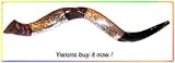 Amazing Silver-plated 33 Yemenite Shofar Kudu
