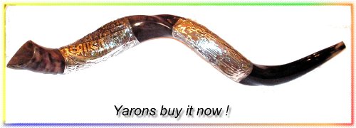 Amazing Silver-plated 33 Yemenite Shofar Kudu