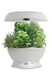 AeroGrow AeroGarden with Gourmet Herb Seed Kit, Black