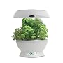AeroGarden 901012-1200 Space-Saver 6 with Gourmet Herb Seed Kit, White