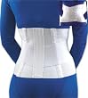 FLA 10" Lumbar Sacral Back Support with Abdominal Belt