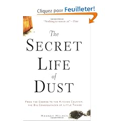 The Secret Life of Dust: From the Cosmos to the Kitchen Counter, the Big Consequences of Little Things