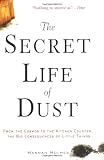 The Secret Life of Dust: From the Cosmos to the Kitchen Counter, the Big Consequences of Little Things