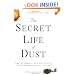 The Secret Life of Dust: From the Cosmos to the Kitchen Counter, the Big Consequences of Little Things