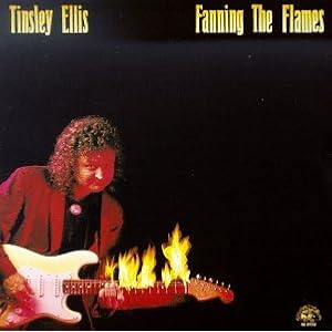 Fanning the Flames by Tinsley Ellis (Audio CD - 1989)