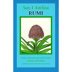 Say I Am You: Poetry Interspersed with Stories of Rumi and Shams