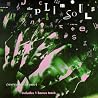 Image of album by Plimsouls