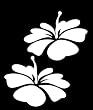 Hibiscus Flower Die Cutz - White Decal