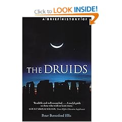 A Brief History of the Druids (Brief Histories)