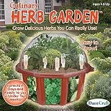 Culinary Herb Garden Growing Kit