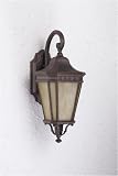 20-3/8-Inch Energy Star Qualified Outdoor Wall Light