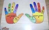 Wooden Right and Left Hand Learning Puzzle Toy