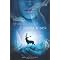 YA Fantasy Sequels 2011 (Teil 1)