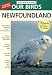 Thayer Birding Software TBS1887148752 Birds of Newfoundland