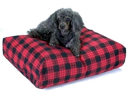 Snoozer Rectangle Pillow Pet Bed Snoozer Rectangle, All Fabric, X-Large, Irish Cork