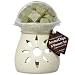 Northern Lights Candles 2.5oz. Chips & Warmer - Lime Basil