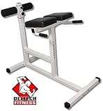 Deltech Fitness Hyper Extension Bench