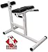 Deltech Fitness Hyper Extension Bench