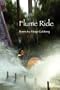 Flume Ride