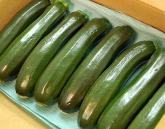 □ズッキーニ　千葉・長野県産　他　１箱　　7～15本入り